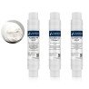 Kit complet de 3 cartouches filtrantes capsulées en ligne 12 pouces (PP, GAC, CTO) de qualité alimentaire