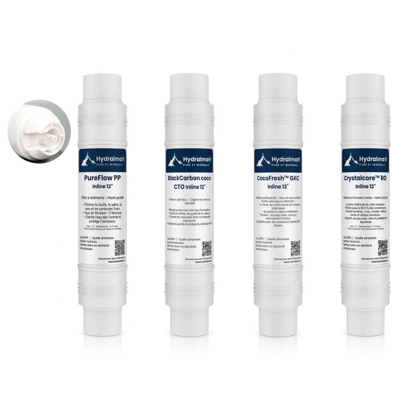 Pack complet de rénovation 4 cartouches capsulées 12 pouces comprenant PP, GAC, CTO et la membrane d'osmose inverse RO