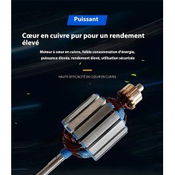 Rotor moteur osmoseur à cœur de cuivre pur, bobinage pour haut rendement et faible consommation au Maroc.
