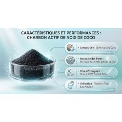 Charbon actif noix de coco : infographie des caractéristiques pour filtration fine de l'eau potable au Maroc.